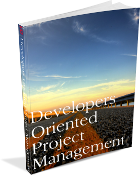 Developer Oriented Project Management